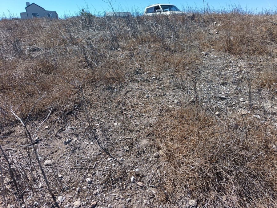 Commercial Property for Sale in Hoogland Western Cape
